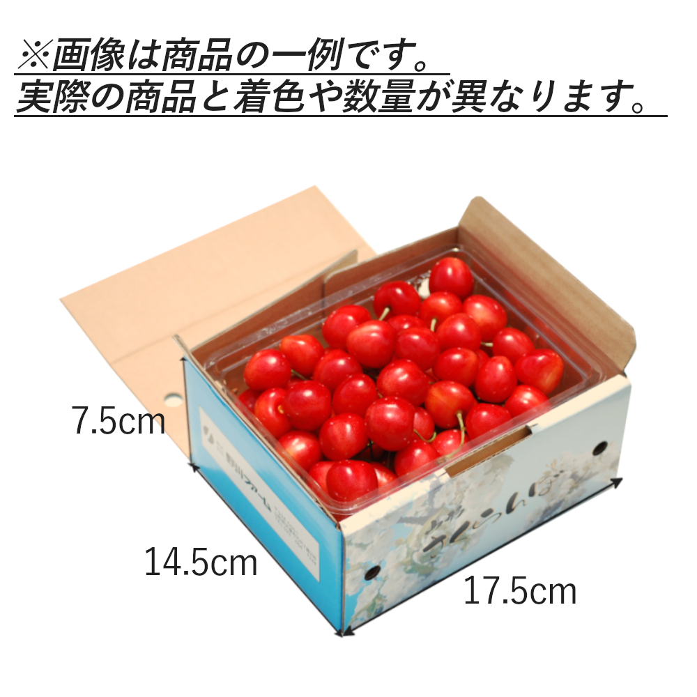 山形県産紅てまり バラ詰め500g 【山形ふるさと便のさくらんぼ